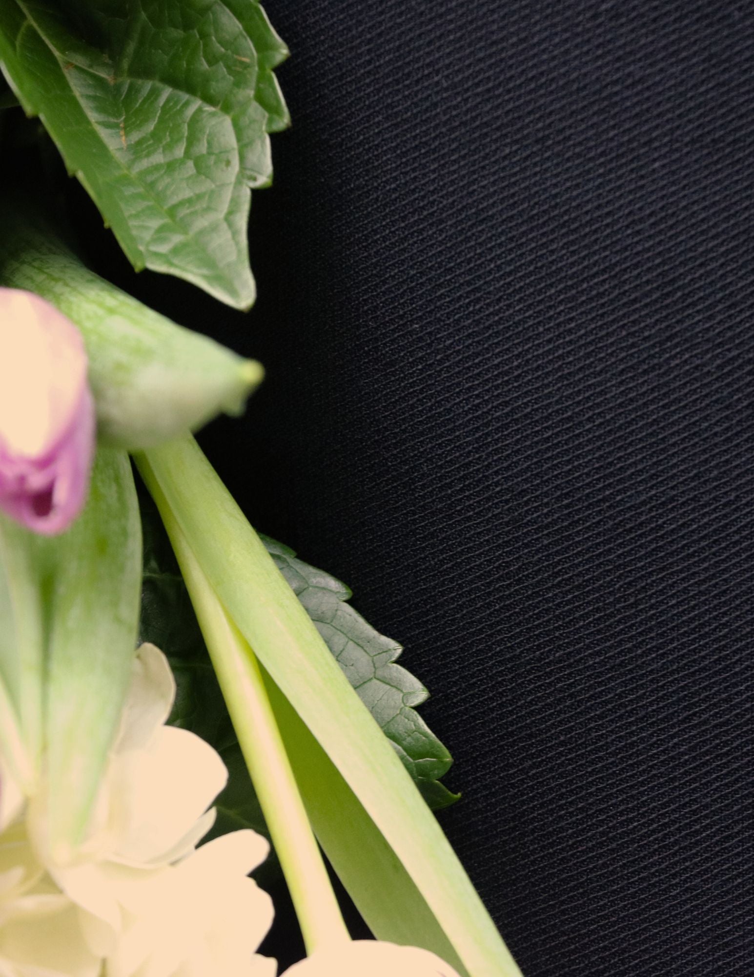 Pantalon Couture - Poches Tweed - 5 coloris